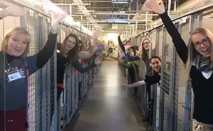 Animal Shelter Celebrates Their Happiest Day Ever Because All Kennels Are Empty