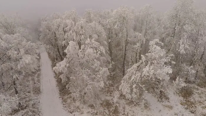 Dobogókő Zuzmarás Fák 2016.12.23.( Légi Video)
