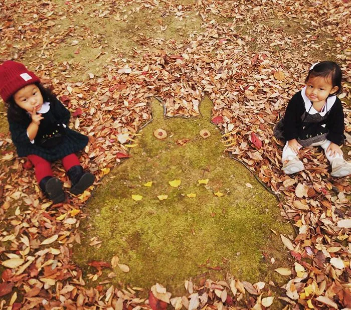 Japanese Are Going Crazy About The Fallen Leaves, Turn Them Into Art