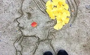 Japanese Are Going Crazy About The Fallen Leaves, Turn Them Into Art
