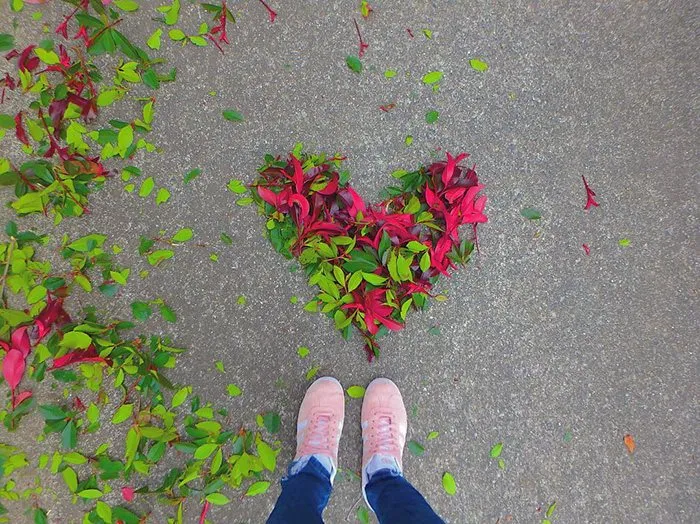 Japanese Are Going Crazy About The Fallen Leaves, Turn Them Into Art