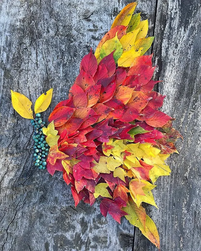 Japanese Are Going Crazy About The Fallen Leaves, Turn Them Into Art