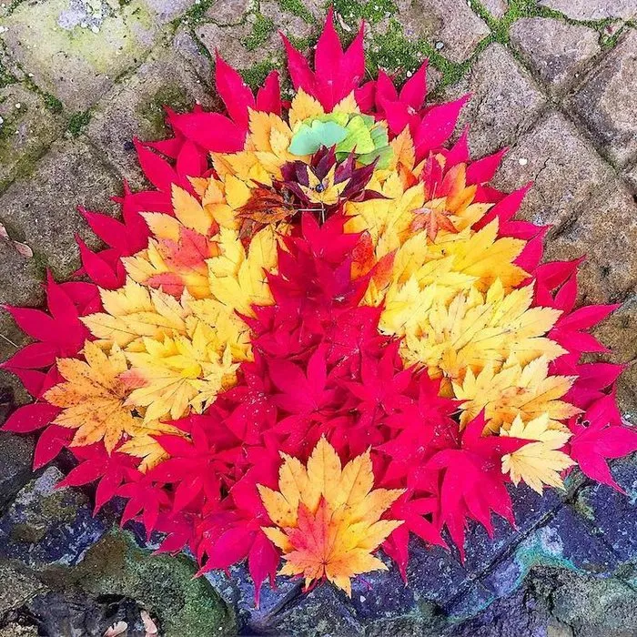 Japanese Are Going Crazy About The Fallen Leaves, Turn Them Into Art