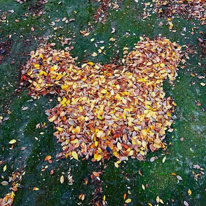 Japanese Are Going Crazy About The Fallen Leaves, Turn Them Into Art