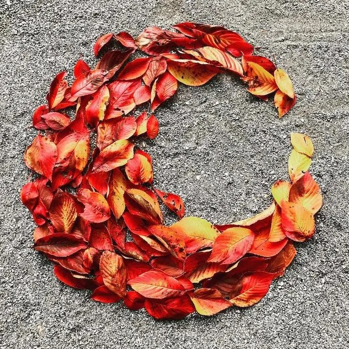 Japanese Are Going Crazy About The Fallen Leaves, Turn Them Into Art