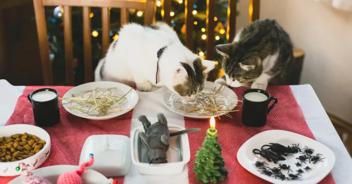 Cats' Version Of Christmas Eve