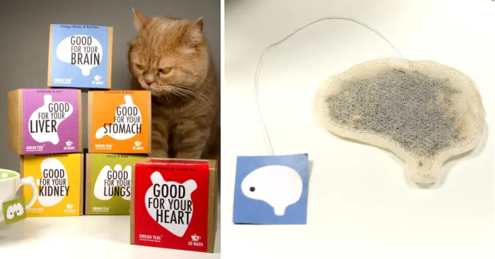 We Make Herbal Tea Bags That Look Like Organs