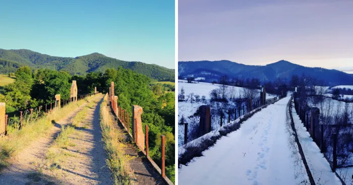 It Took Almost One Year And 800 Km To Capture All The Nature's Changes Of A Particular Picturesque Landscape