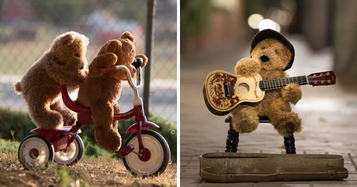 This Photographer Takes You On An Adventure With Teddy B And Roger