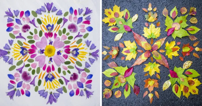 Reorganizing Little Things Found From Nearby Nature Turns Them Into Art