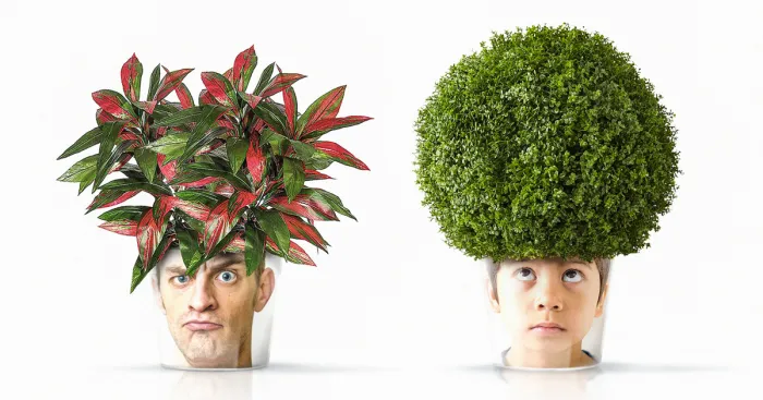Facepot That Allows You To Surprise A Stranger