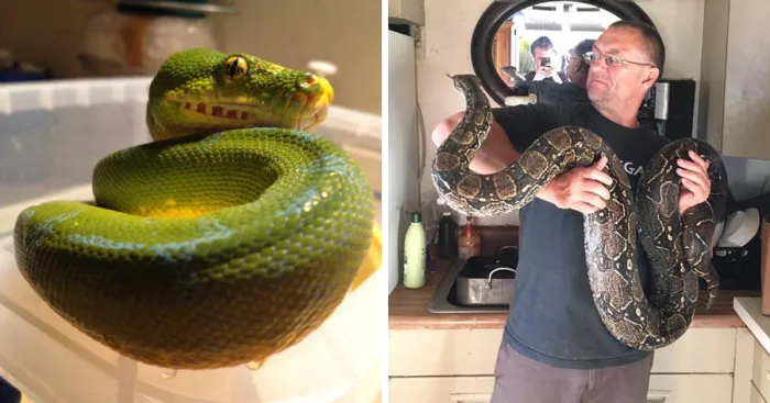 I Rescue Exotic Animal Species