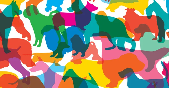 I Made Prints Of 170 Dog Breeds Drawn To Scale