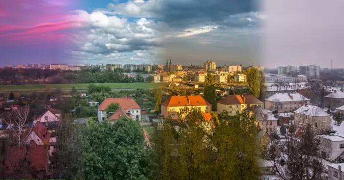 I Spent One Year Making Pictures From The Kitchen Window