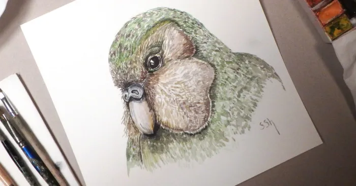 How Art May Contribute To Wildlife Protection?