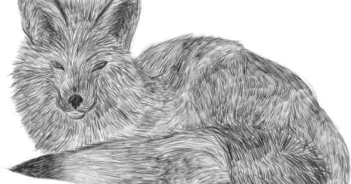 I Draw Animals Out Of Lines