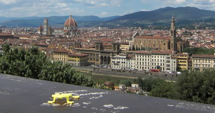 Frogtrotter, My Travelling Frog
