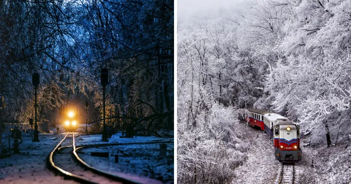 Pasé un día entero en los bosques helados para captar estas magníficas vistas invernales