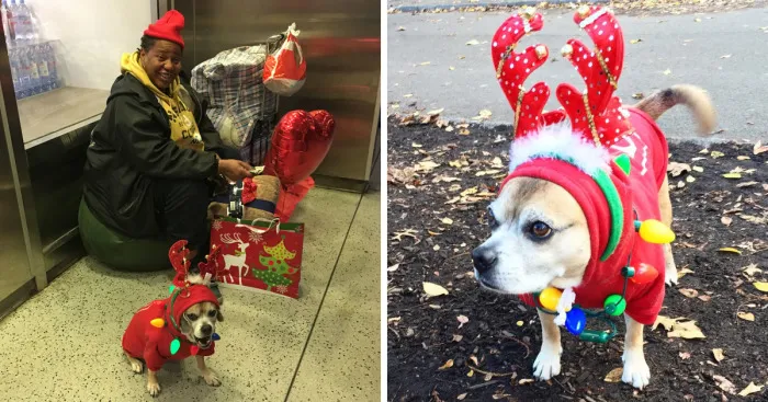 How A Rescue Dog Is Giving Joy To The Homeless In Nyc