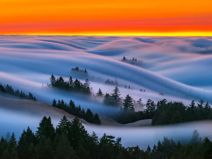 Fog Waves Are The Most Beautiful Thing I Captured After 8 Years Of Experimenting
