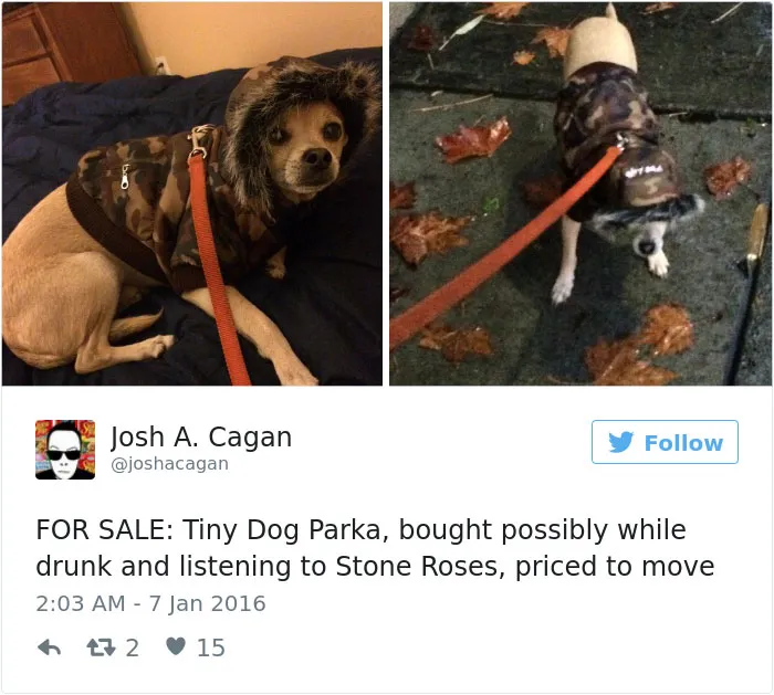 126 Of The Best Dog Tweets Of 2016