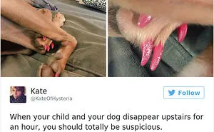 126 Of The Best Dog Tweets Of 2016