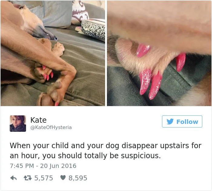 126 Of The Best Dog Tweets Of 2016