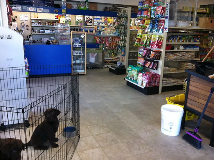 Pet store interior with hidden detail that surprises when you see it.