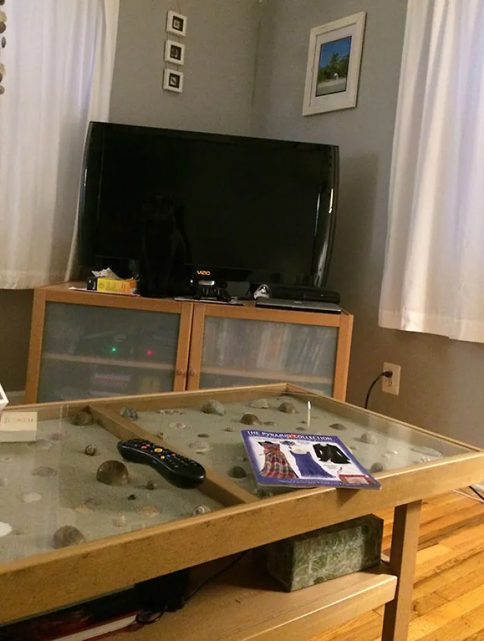 Living room setup with a hidden black cat blending into the shadows.