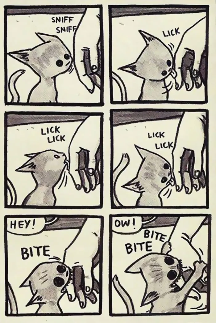 187 Hilarious Comics That Reveal The Reality Of Living With Cats