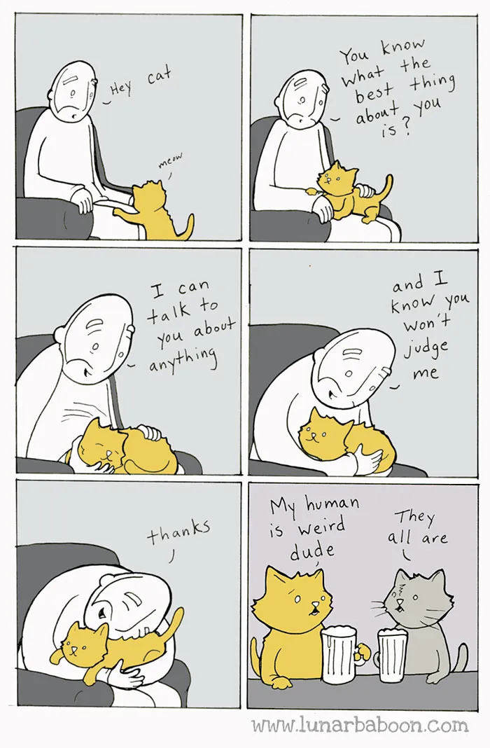 187 Hilarious Comics That Reveal The Reality Of Living With Cats