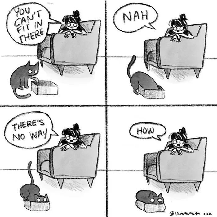 187 Hilarious Comics That Reveal The Reality Of Living With Cats