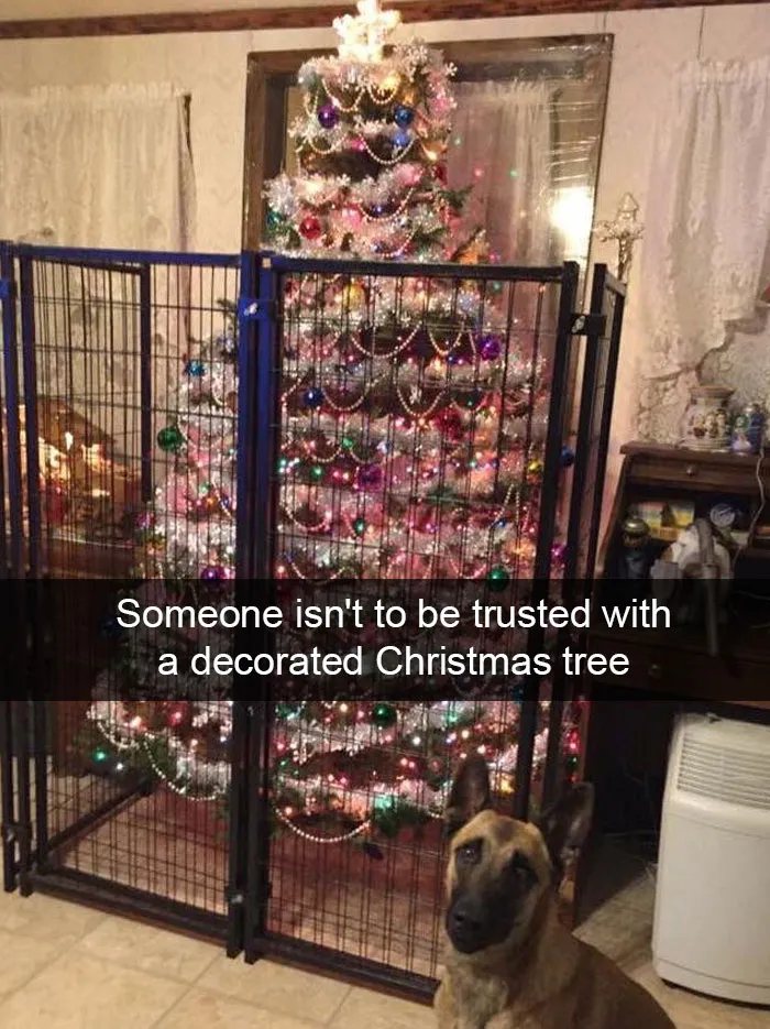 40 Hilarious Christmas Posts That Are Hard Not To Laugh At