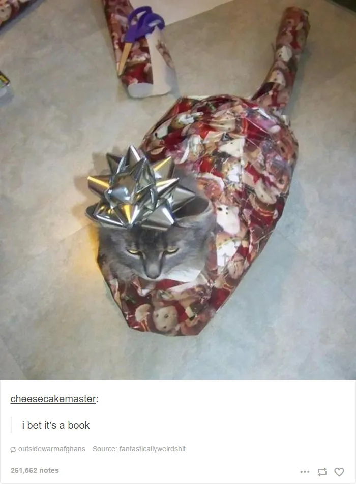 40 Hilarious Christmas Posts That Are Hard Not To Laugh At