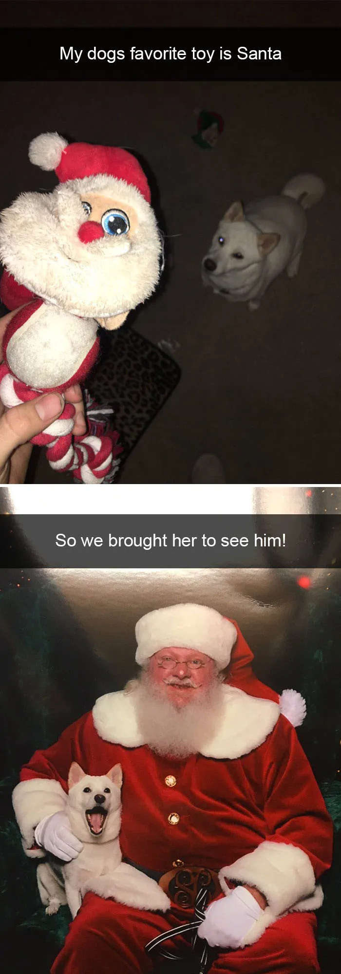 40 Hilarious Christmas Posts That Are Hard Not To Laugh At
