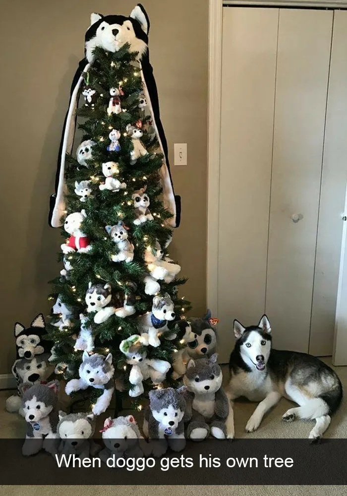 40 Hilarious Christmas Posts That Are Hard Not To Laugh At