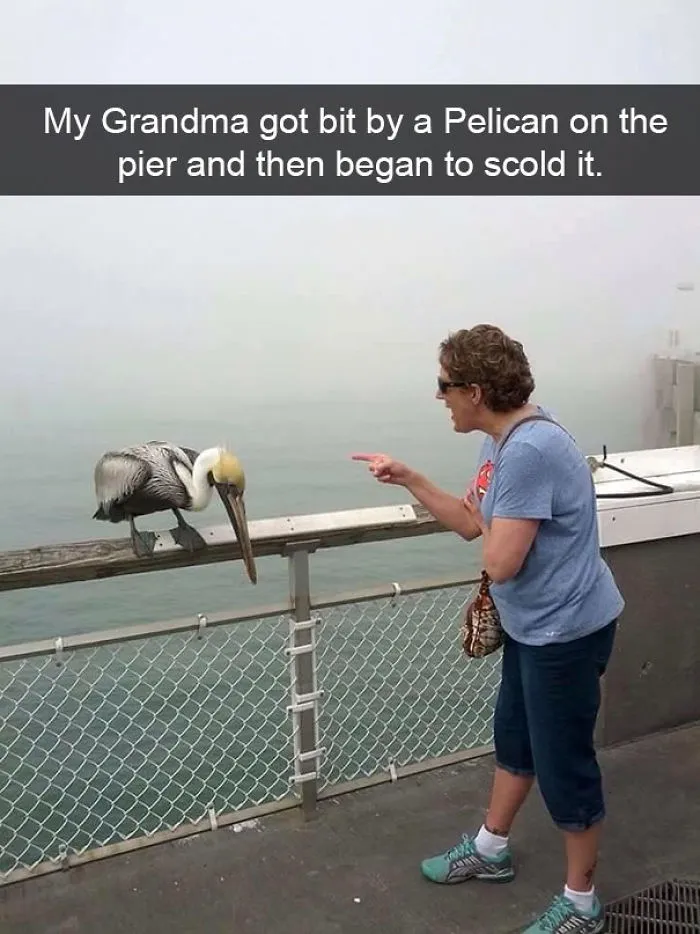 100 Snapchat Fails Of People Having A Worse Day Than You