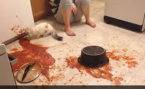 100 Snapchat Fails Of People Having A Worse Day Than You