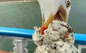 100 Snapchat Fails Of People Having A Worse Day Than You
