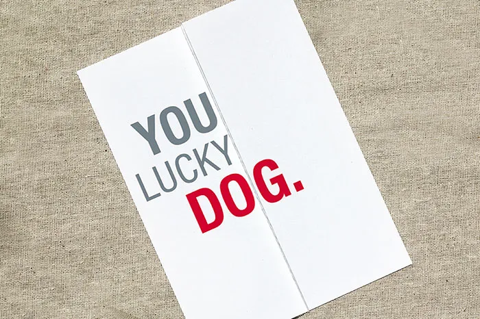 65 Seemingly Offensive Fold-Out Greeting Cards With Hidden Messages Inside