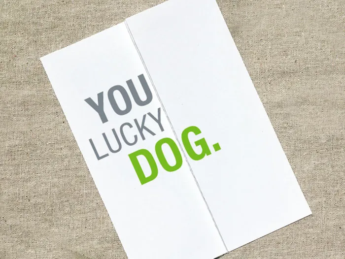 65 Seemingly Offensive Fold-Out Greeting Cards With Hidden Messages Inside