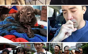 105 Times People Totally Restored Our Faith In Humanity in 2016