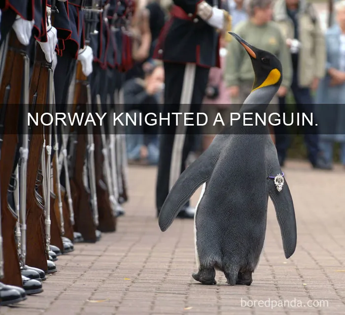 50 Of The Happiest Facts Ever That'll Make Your Day