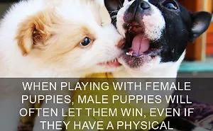 50 Of The Happiest Facts Ever That'll Make Your Day