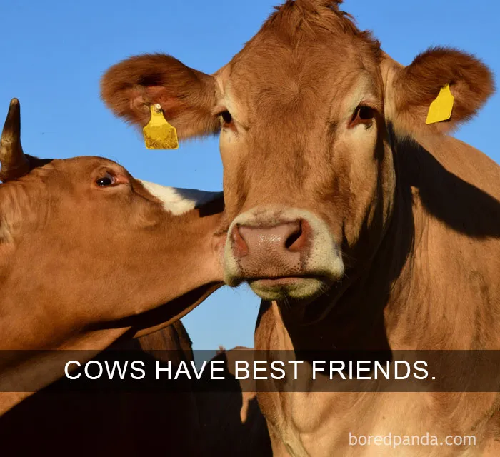 50 Of The Happiest Facts Ever That'll Make Your Day