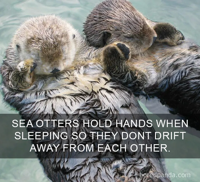 50 Of The Happiest Facts Ever That'll Make Your Day