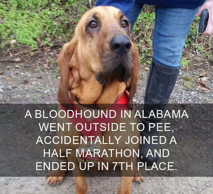 50 Of The Happiest Facts Ever That'll Make Your Day