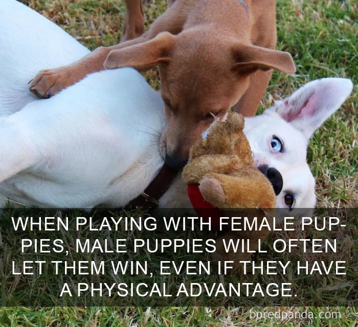 Happy Facts