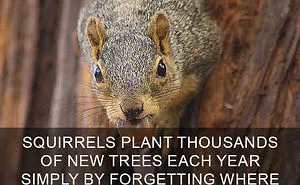 50 Of The Happiest Facts Ever That'll Make Your Day