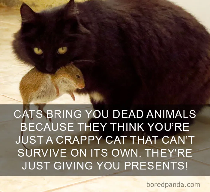 50 Of The Happiest Facts Ever That'll Make Your Day